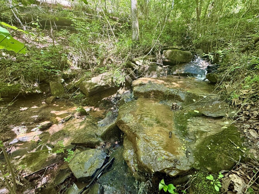 Picture 24