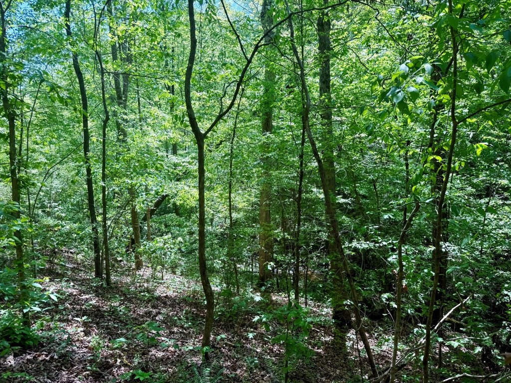 Picture 10