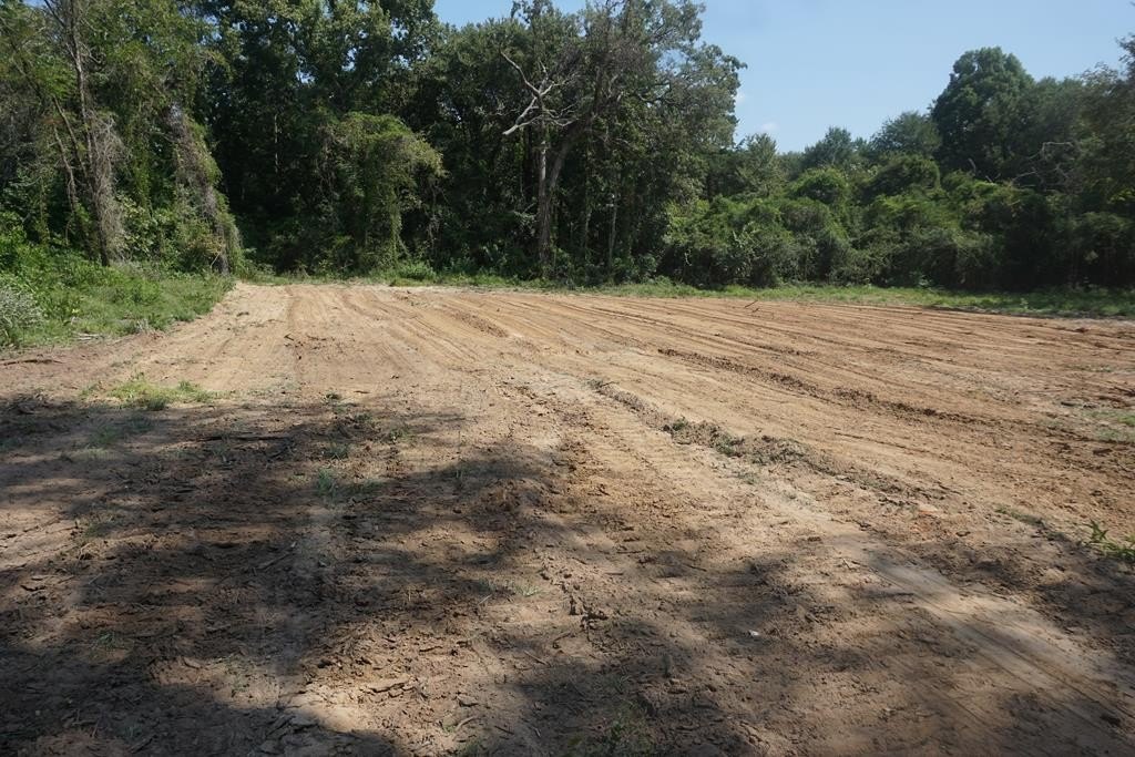 Flat Land in Palestine, TX