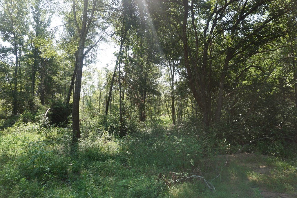 Picture 7
