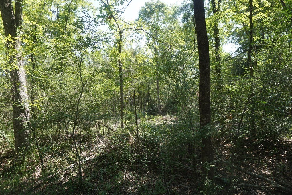 Picture 9