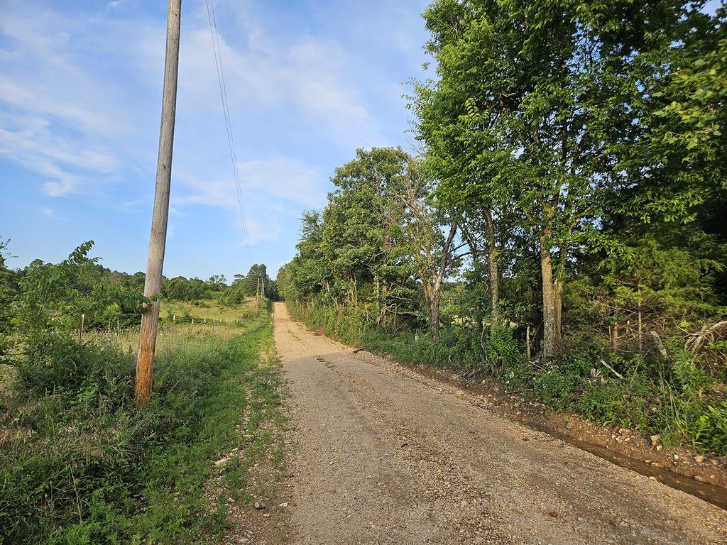 Picture 23