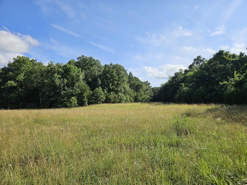 Picture 48