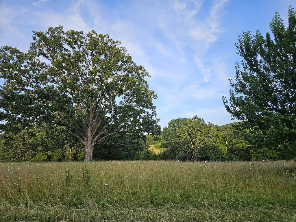 Picture 67