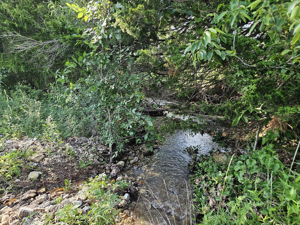Picture 49
