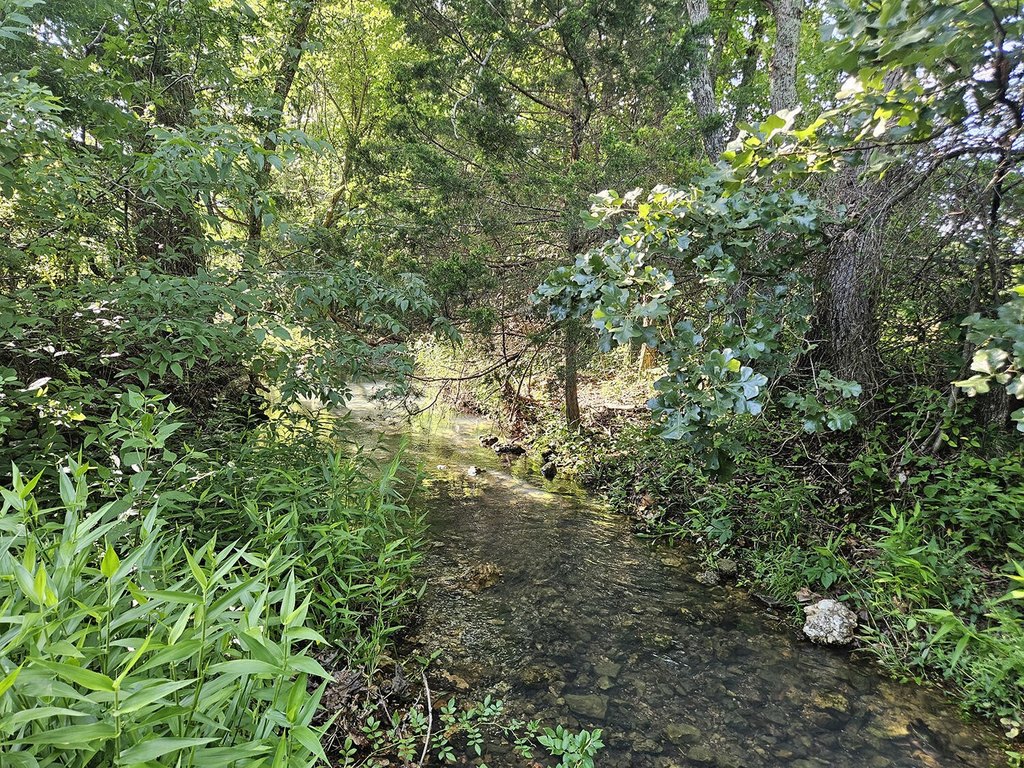 Picture 44