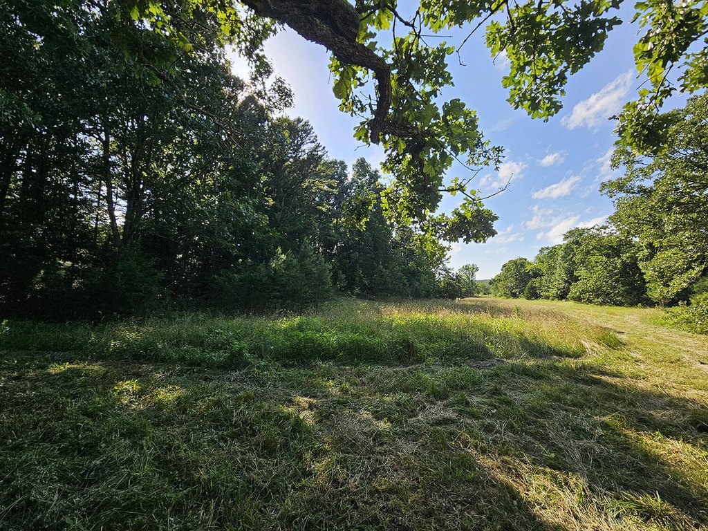 Picture 45