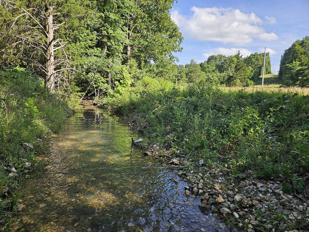 Picture 8