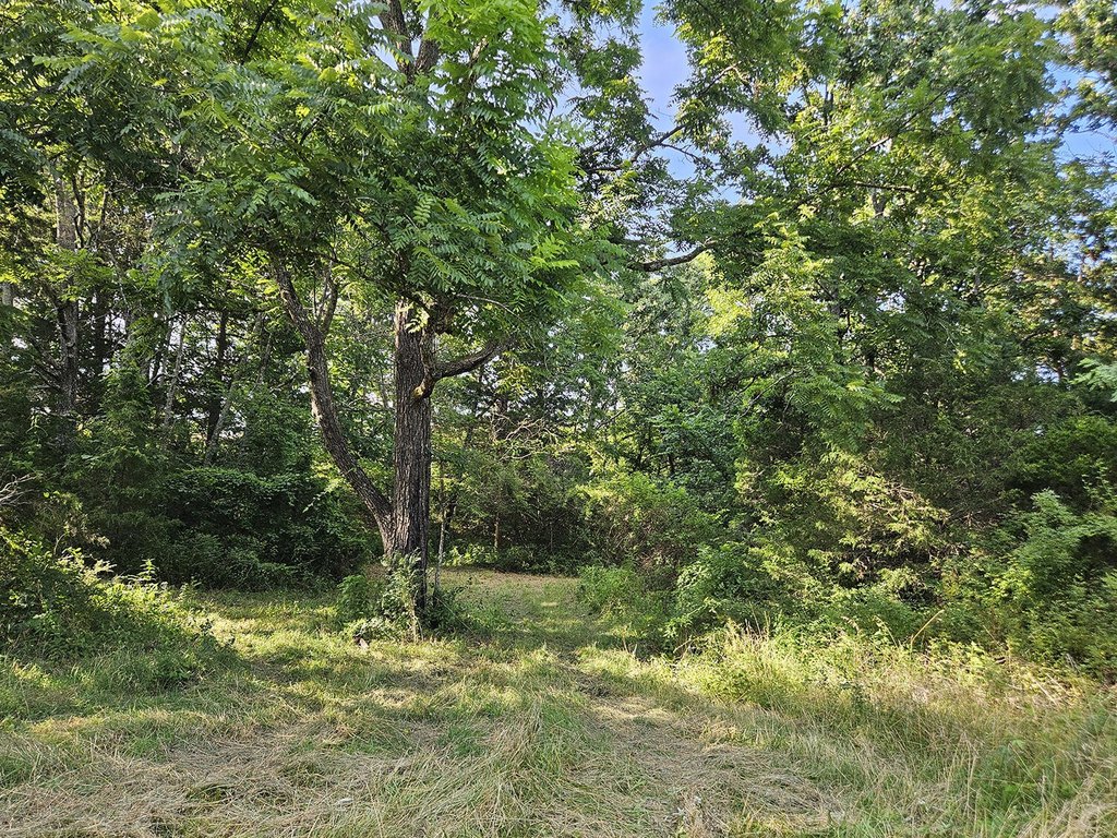Picture 63