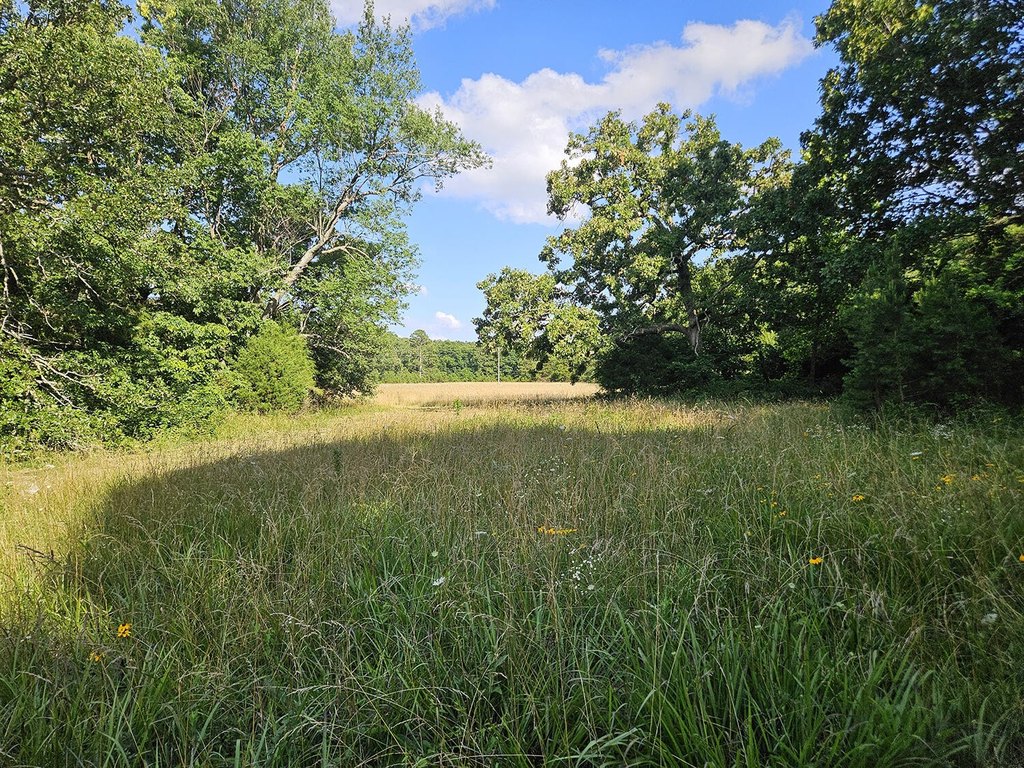 Picture 43
