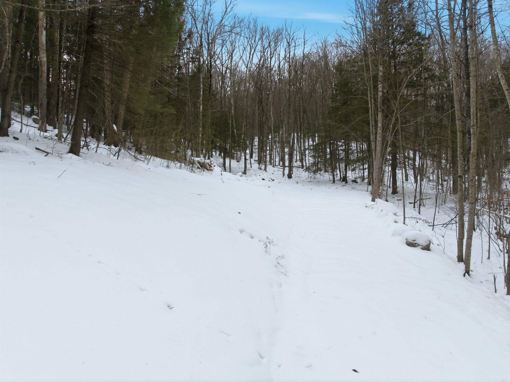 Picture 6