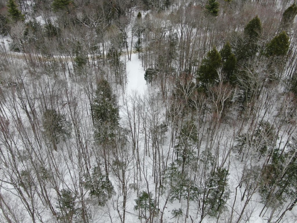 Picture 23