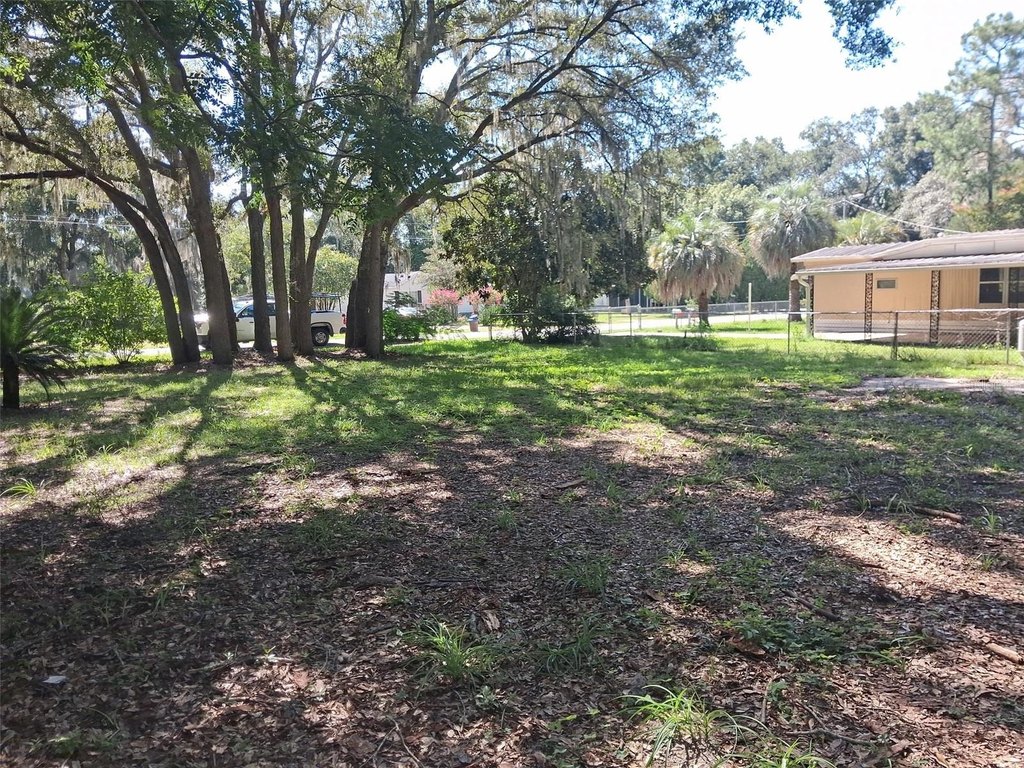 Picture 3