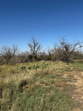 157 Acres with CRP Grassland