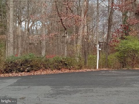 Wooded Lot in Sterling, VA