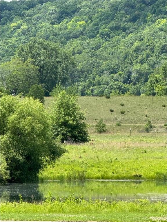 Picture 3