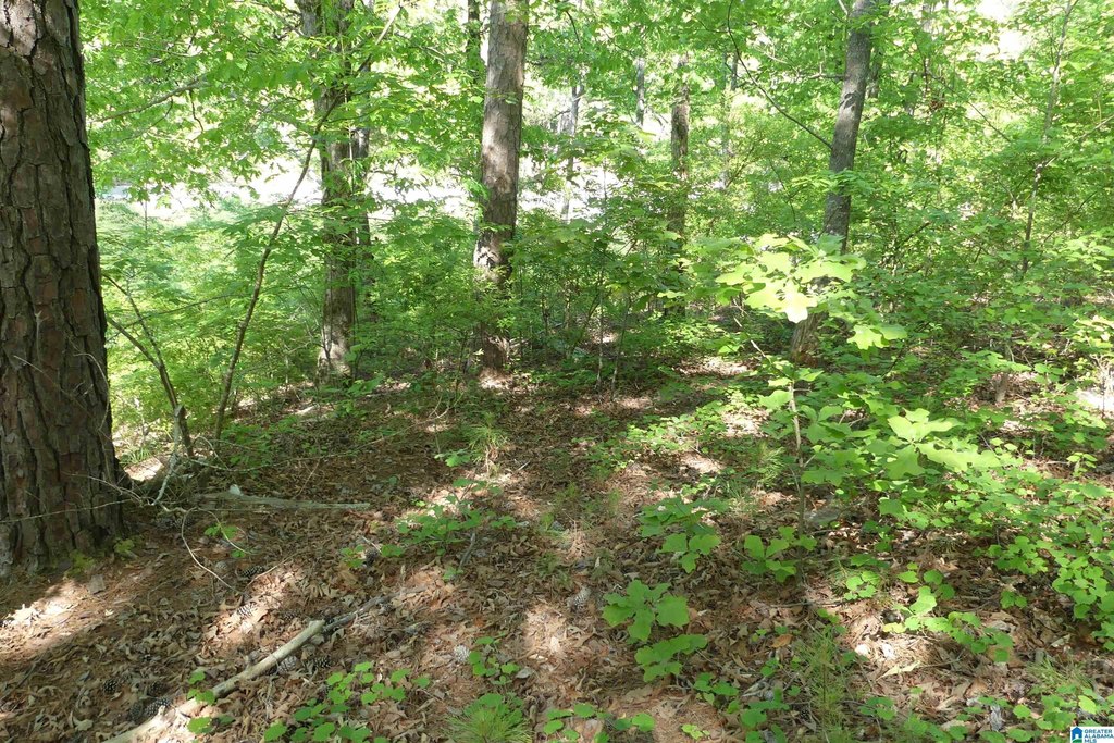 Picture 9
