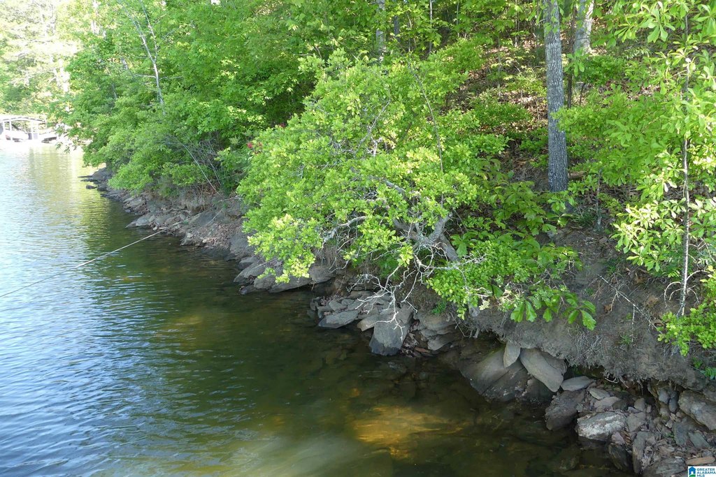 Picture 7
