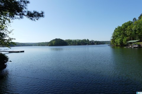 LAND - WEDOWEE, AL