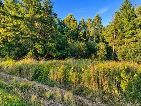 60-Acre Hunting Land