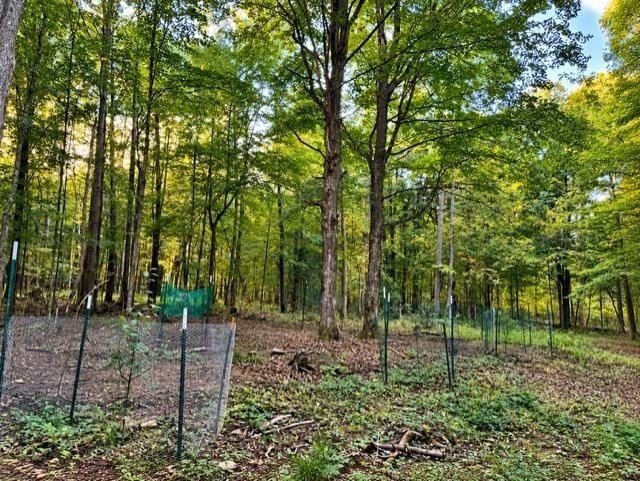 Picture 18