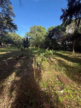 Land, SANFORD, FL