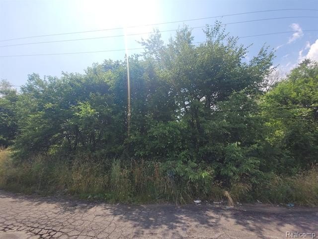 Picture 8