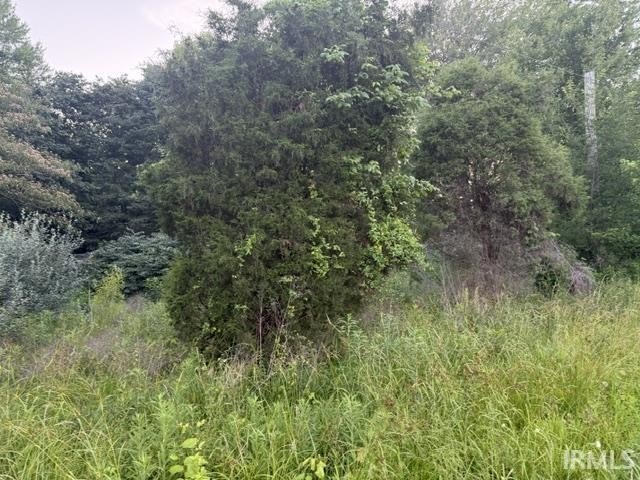 Picture 8