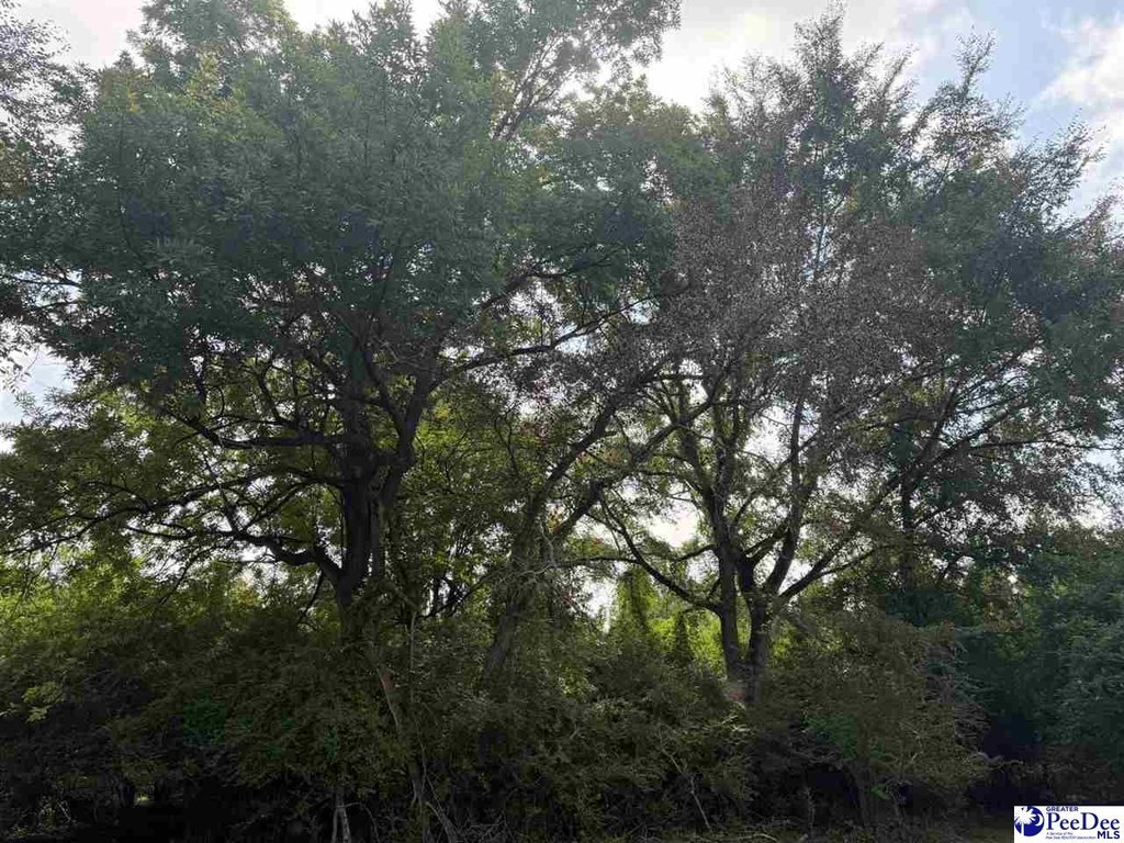 Picture 8