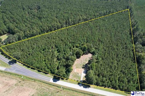 Land, Latta, SC