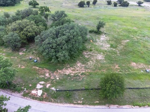 Residential Home Lot with Trees