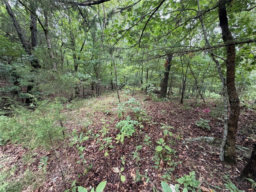 Picture 15