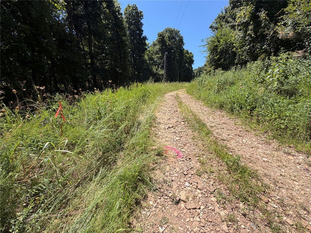 Picture 19
