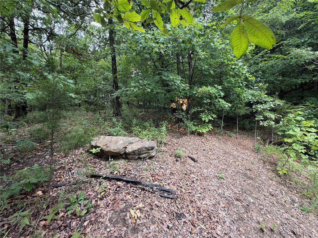 Picture 12