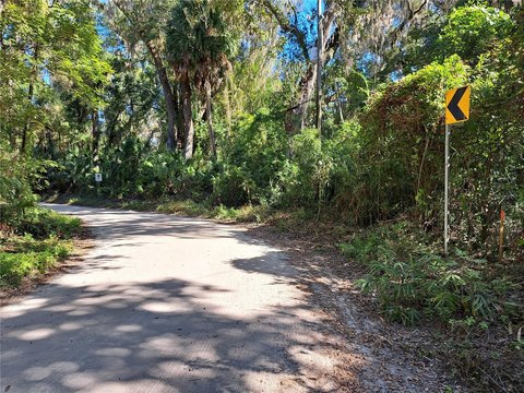Gainesville Land Near University of Florida