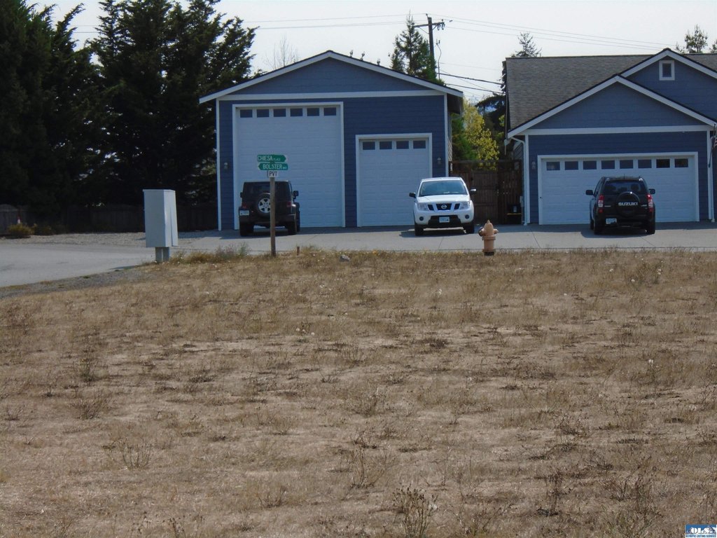 Picture 15