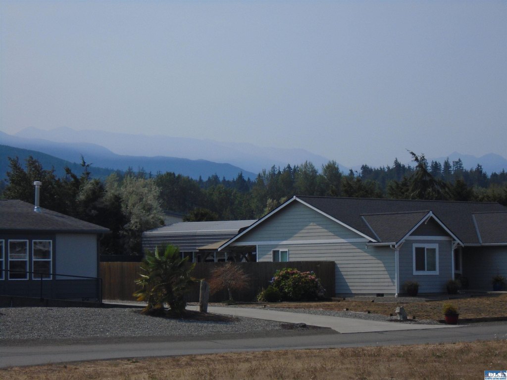 Picture 17