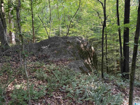 LAND - ROANOKE, AL