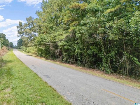 LAND/LOTS, ROANOKE, AL