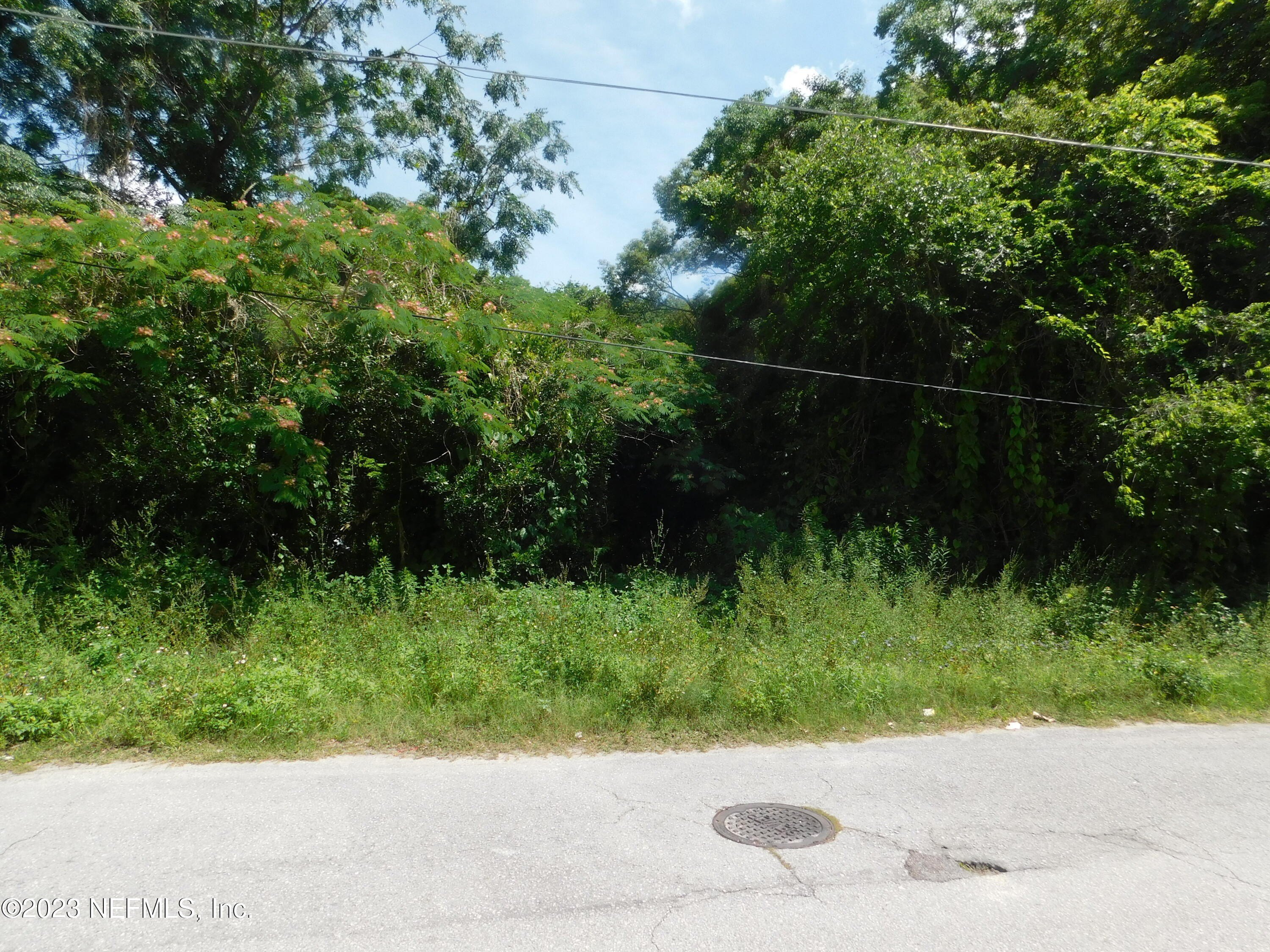 Wooded Lot in Live Oak