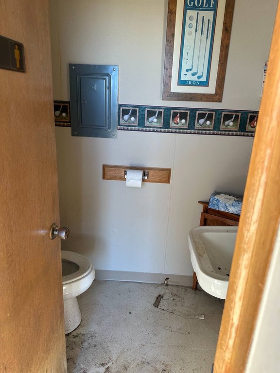 Picture 15