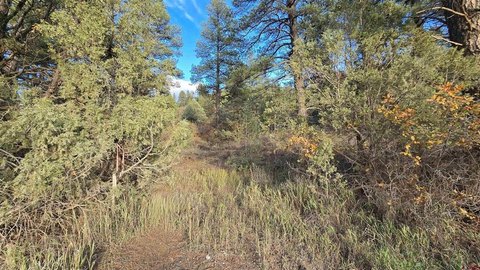 Land in Pagosa Springs, CO