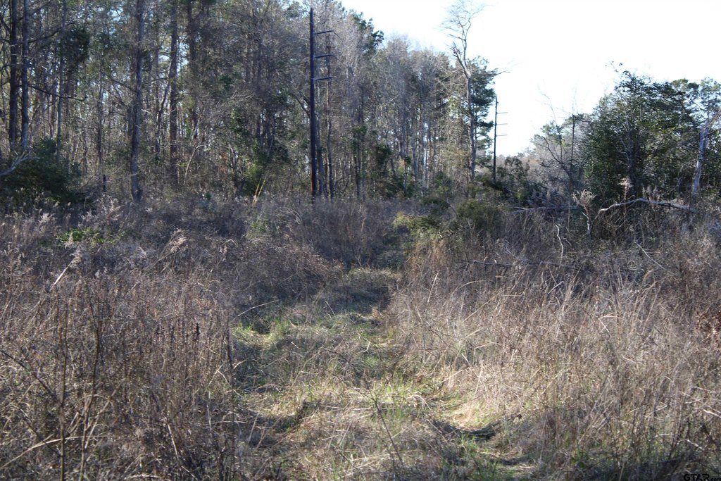Picture 2