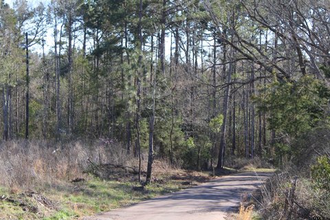 Land, Rusk, TX