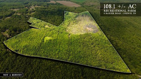 Counce, TN Land For Sale