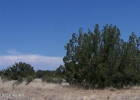 Heber, AZ Land Parcel