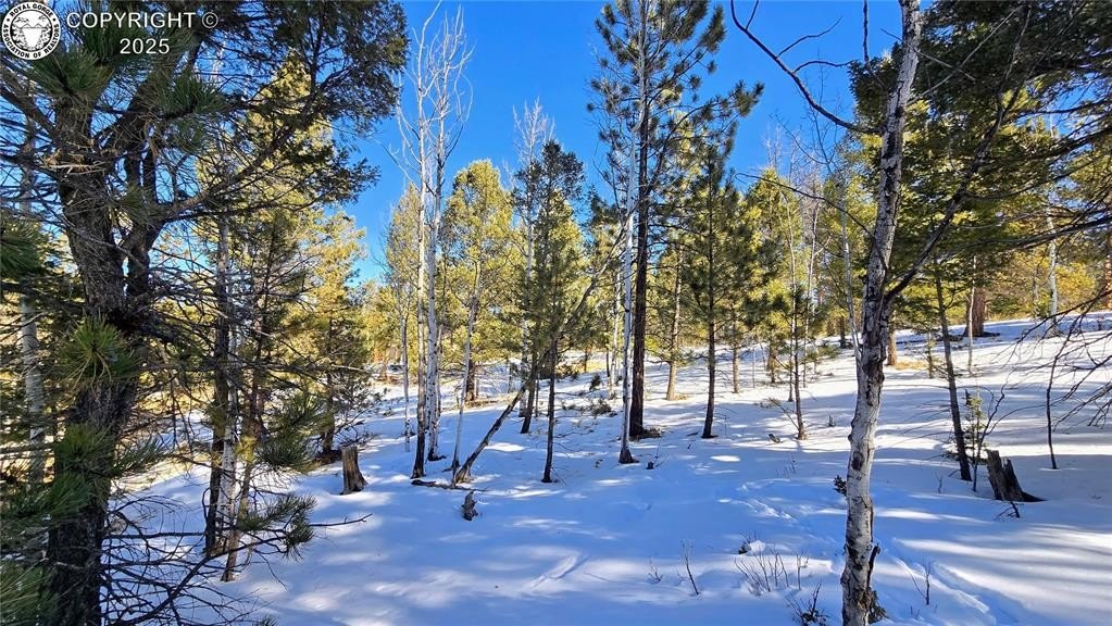 Land in Picturesque Florissant, CO