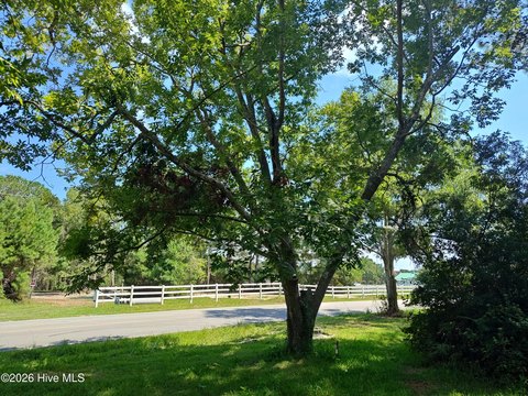 Land, Sneads Ferry, NC