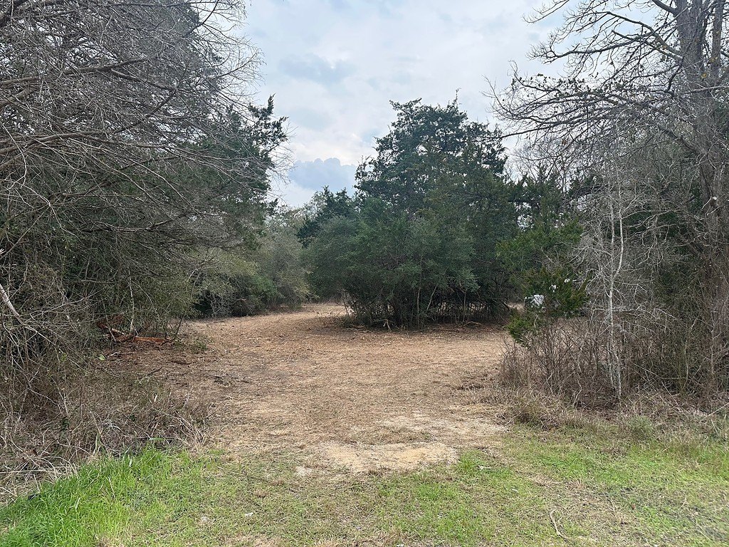 Picture 26