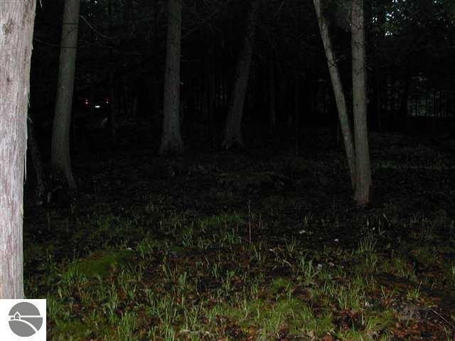 Picture 10